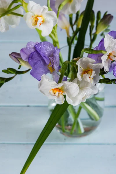 Fresh spring daffodil in glass on table — Stock Photo, Image