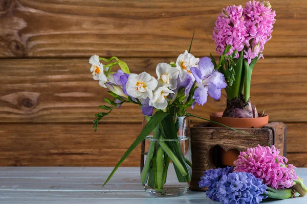 Våren i trädgård blomma företagsarrangemang — Stockfoto