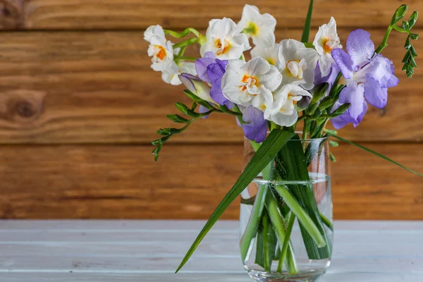 Färsk våren daffodil i glas — Stockfoto