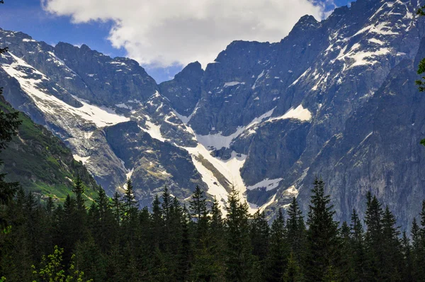 Polonya Tatra Dağları — Stok fotoğraf