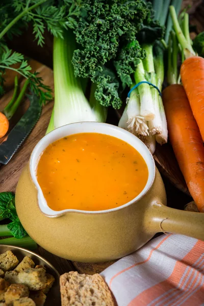Στενή άποψη σχετικά με φρέσκο καρότο σούπα με κρέμα — Φωτογραφία Αρχείου