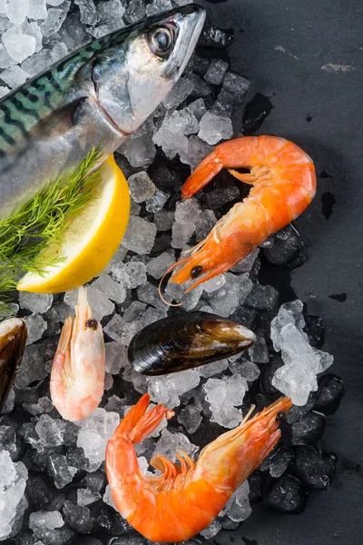 Fresh catch whole fish and seafood on ice, cooking concept — Stock Photo, Image