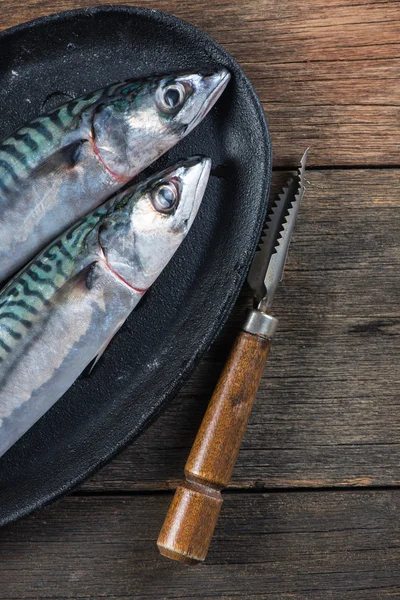 Pescado fresco de mar entero en sartén rústica de hierro, concepto de cocina — Foto de Stock