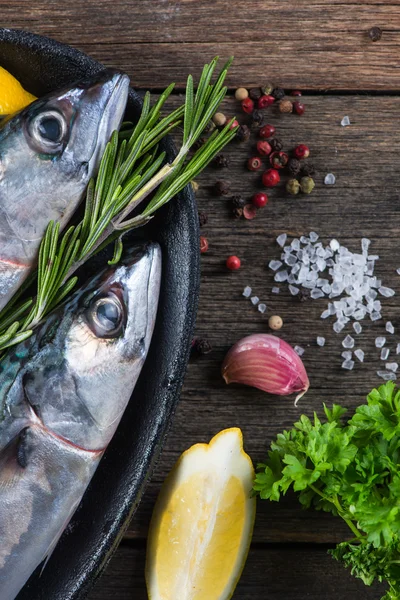 Кормовой Фон Свежей Рыбы Травами Концепция Приготовления Пищи — стоковое фото