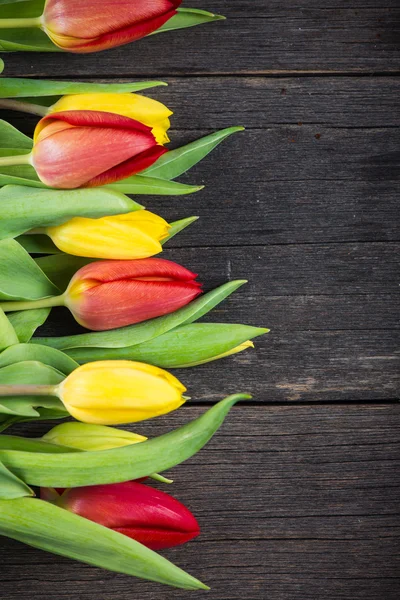 Fresh tulips on wooden background with copy space — Stock Photo, Image