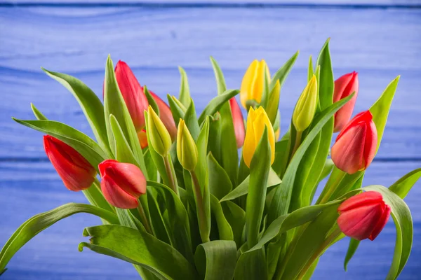 Кучка весенних тюльпанов — стоковое фото
