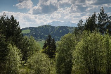 Manzaralı güzel tepeler ve dağlar 