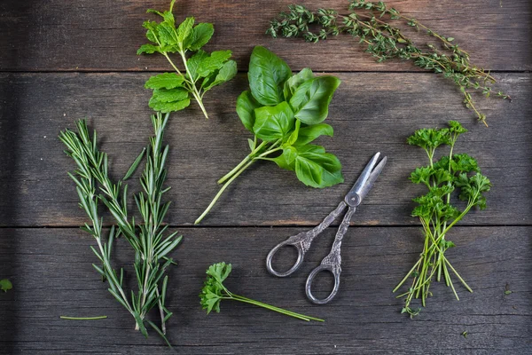 Fresh herbs preparation for drying on black background — Stock Photo, Image