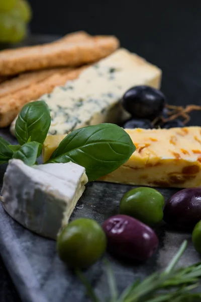 Tapas style cheese selection with olives,grapes and herbs — Stock Photo, Image