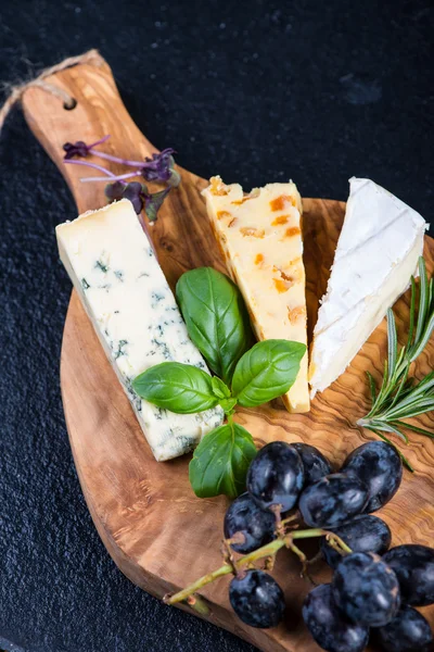 치즈 선택과 소박한 보드, 타파스 스타일 전채 — 스톡 사진