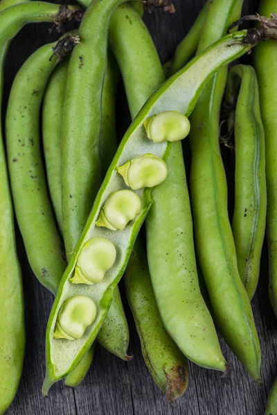 Boerderij verse rauwe braod bean — Stockfoto