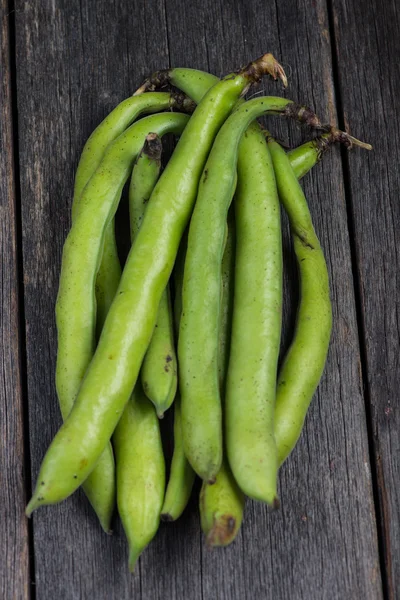 Boerderij verse rauwe braod bean — Stockfoto