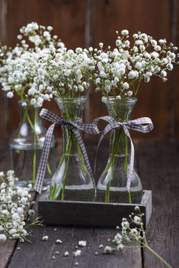 mason kavanoza yabani çayır beyaz taze çiçekler