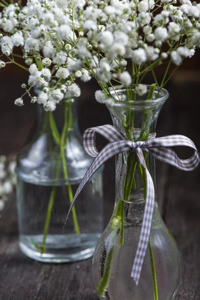 Frische wilde Wiese weiße Blumen im Einmachglas — Stockfoto