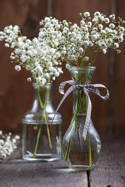 Frische wilde Wiese weiße Blumen im Einmachglas — Stockfoto