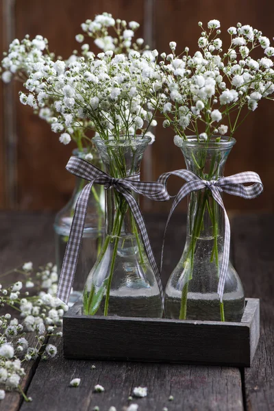 Frische wilde Wiese weiße Blumen im Einmachglas — Stockfoto