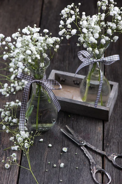 Frische wilde Wiese weiße Blumen im Einmachglas — Stockfoto