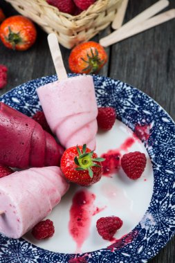 yaz meyve ev yapımı lolly buz çıkar