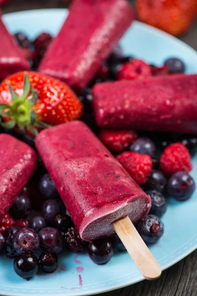 Sorvete de frutas de verão orgânico caseiro — Fotografia de Stock