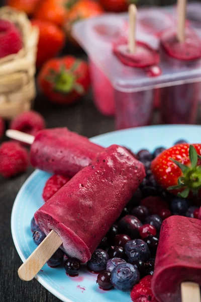 Homemade organic summer fruit ice cream — Stock Photo, Image