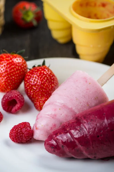 Homemade organic summer fruit ice cream — Stock Photo, Image