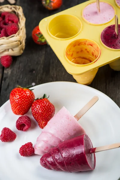 Homemade organic summer fruit ice cream — Stock Photo, Image