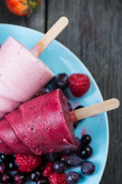 Summer fruits homemade lolly pops ice — Stock Photo, Image