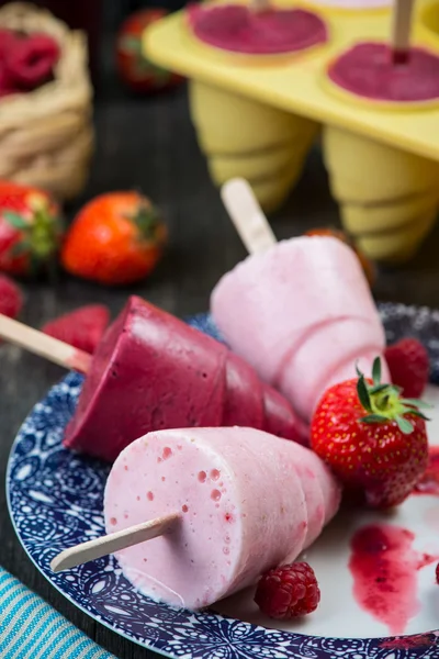 Summer fruits homemade lolly pops ice — Stock Photo, Image