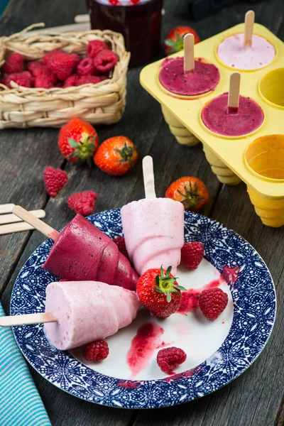 Homemade organic summer fruit ice cream — Stock Photo, Image