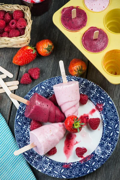 Homemade organic summer fruit ice cream — Stock Photo, Image