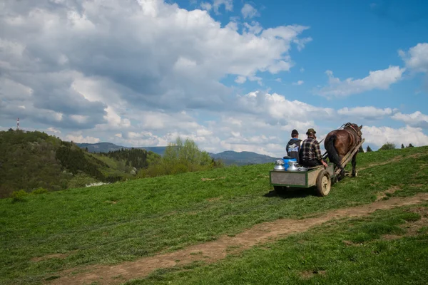 Men transport fresh sheep milk to smokehouse located in remote h — Stock Photo, Image