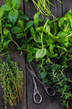 Taze otlar ev bahçesinde kesmek