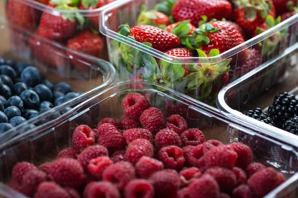 Farm fresh berries fruit in plastic trays