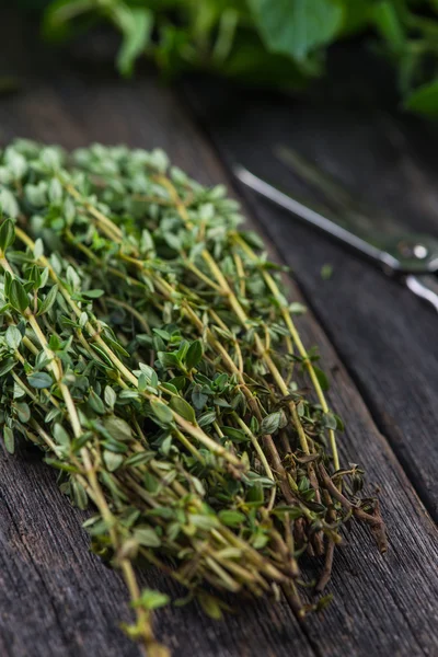 Erbe fresche tagliate nel giardino di casa — Foto Stock