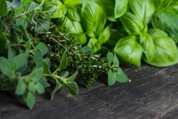 Frische Kräuter im heimischen Garten geschnitten — Stockfoto