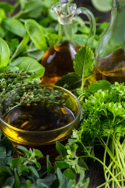 Fresh herbs from garden with olive oil — Stock Photo, Image