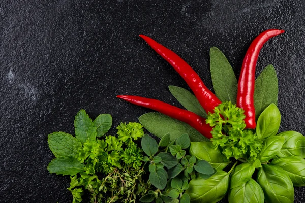 Ervas frescas com pimenta vermelha, fundo alimentar — Fotografia de Stock