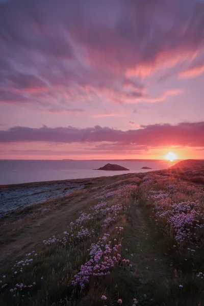 Kust pad met wilde bloemen bij dramatische zonsopgang — Stockfoto