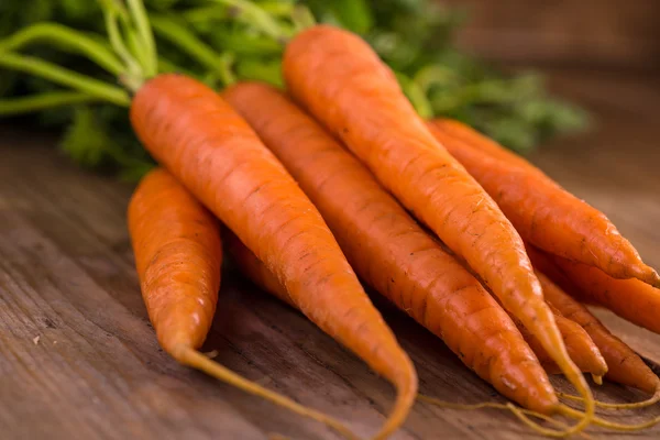 Cosecha fresca, zanahorias jóvenes enteras — Foto de Stock