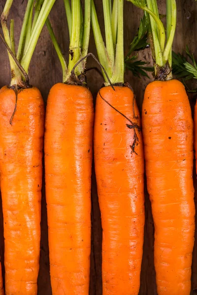 Makanan latar belakang, pertanian segar wortel hidup — Stok Foto