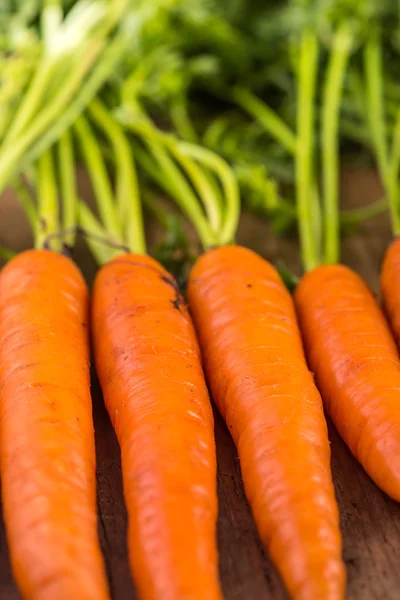Food background, farm fresh vibrant carrots — Stockfoto