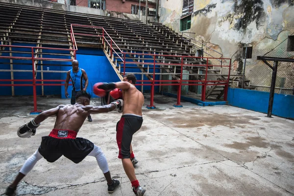 Jóvenes boxeadores entrenan en escuela de boxeo en La Habana, Cuba . — Foto de Stock