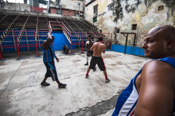 Young boxers train in boxing school in Havana,Cuba. — Stockfoto