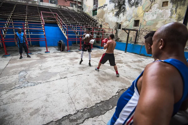 Young boxers train in boxing school in Havana,Cuba. — Stockfoto