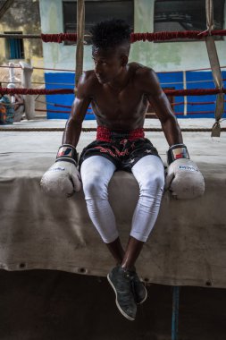 Young boxers train in boxing school in Havana,Cuba.