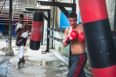 Young boxers train in boxing school in Havana,Cuba.