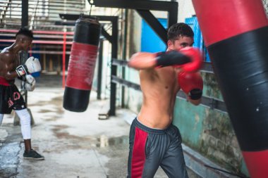Young boxers train in boxing school in Havana,Cuba.