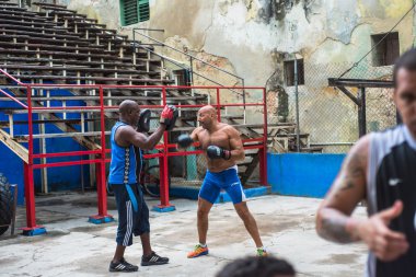 Young boxers train in boxing school in Havana,Cuba.