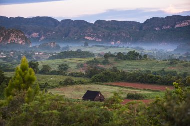 Küba'da Vinales Vadisi'nde mogote peyzaj.