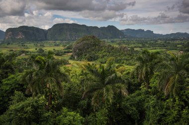 Küba'da mogotes, yatay üzerinden panoramik görünüm
